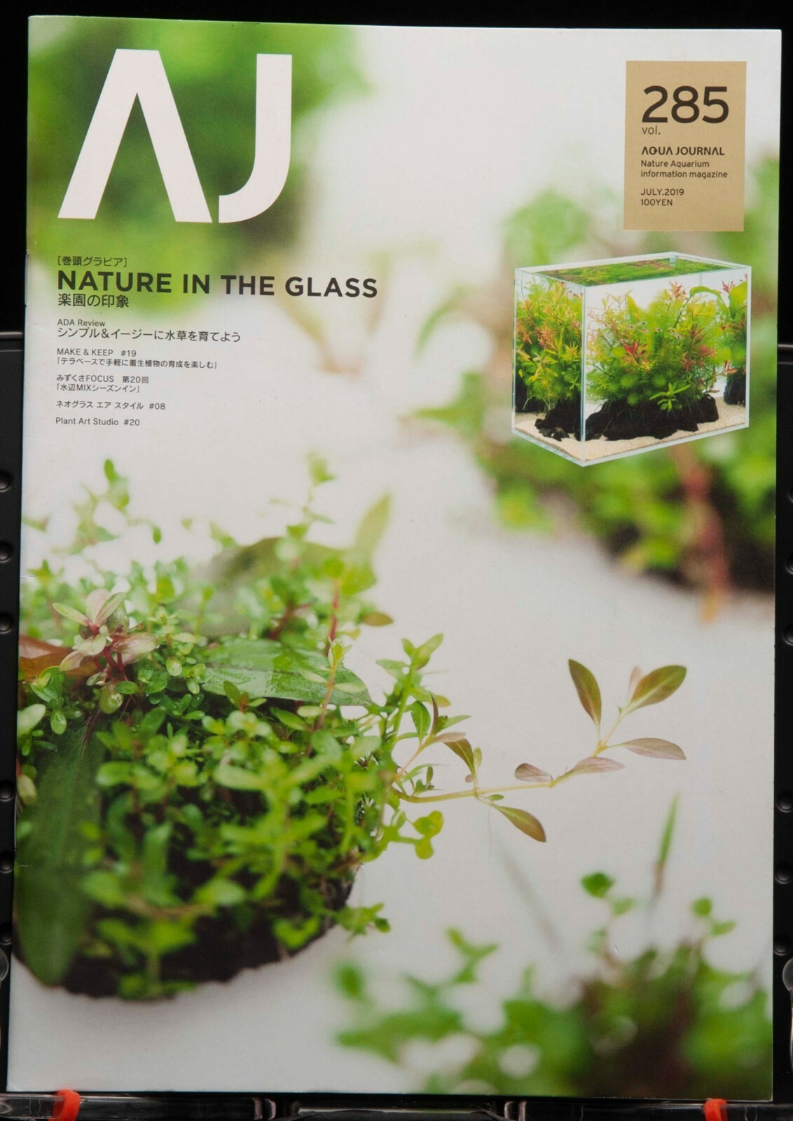 AJ Aqua Journal Amano Nature Aquarium Design Information Magazine #285 ADA  | eBay