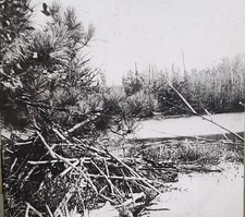 Beaver Lodge And Dam, Wisconsin, W.M Welch Magic Lantern Glass Slide