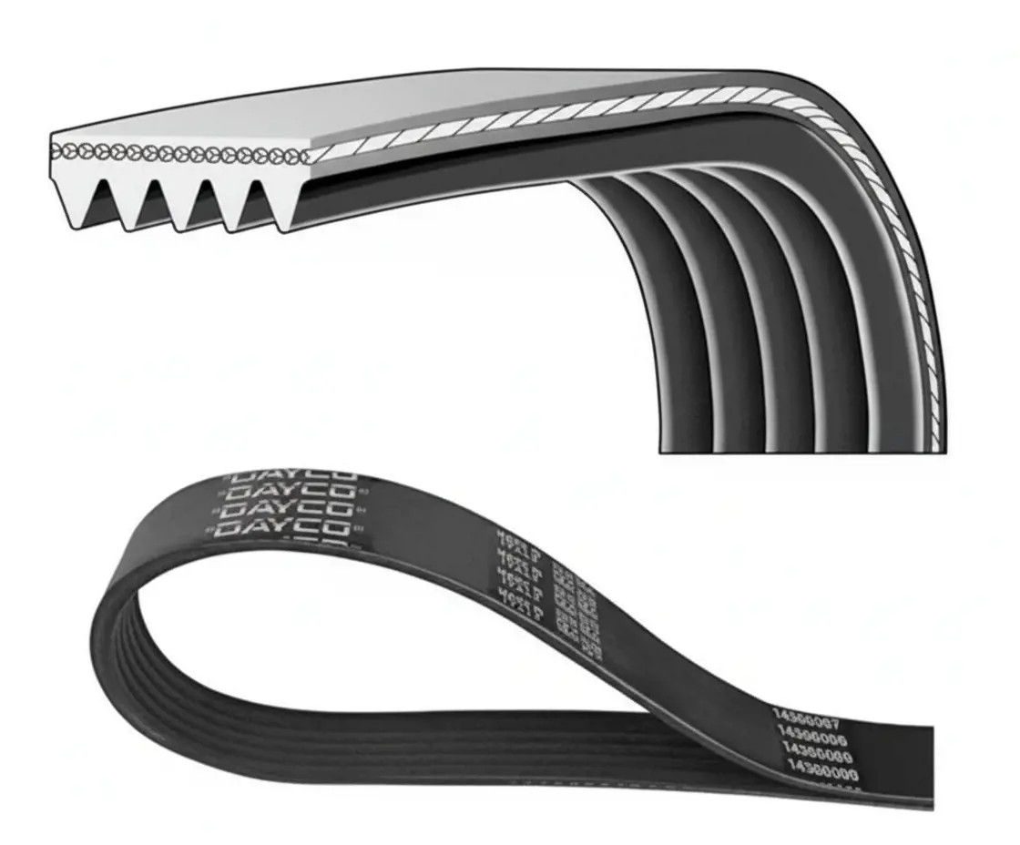 Dayco Cinghia Poly-V 5Pk1334 - Immagine 2
