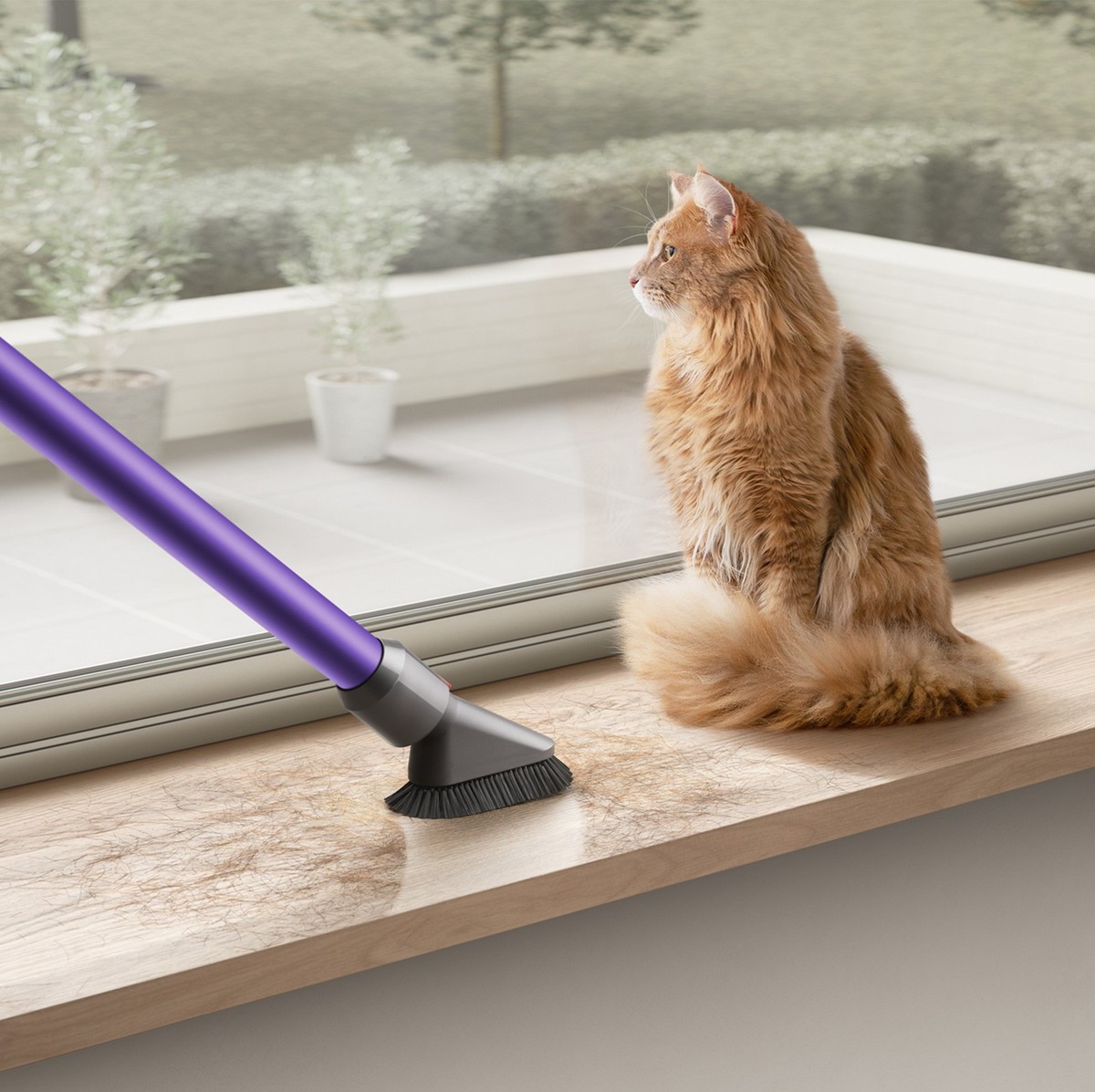 Dyson V10 Animal Cordless Vacuum Cleaner | Purple Dyson V10 Animal Cordless Vacuum Cleaner | Purple