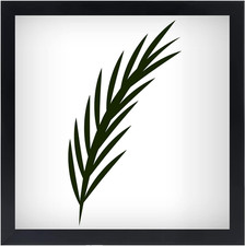 11x11 Picture Frame in Black - Horizontal and Vertical Formats for Wall - Photo