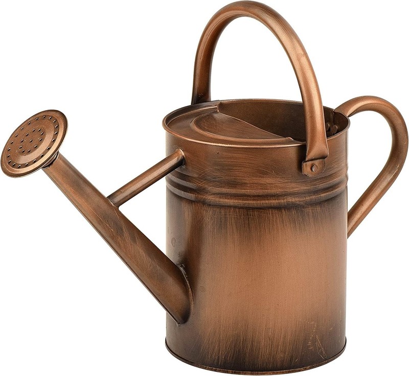 Sunnytong Metal Watering Can For Outdoor And Indoor Plants, Watering Can