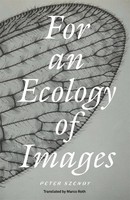 For An Ecology Of Images Peter Szendy