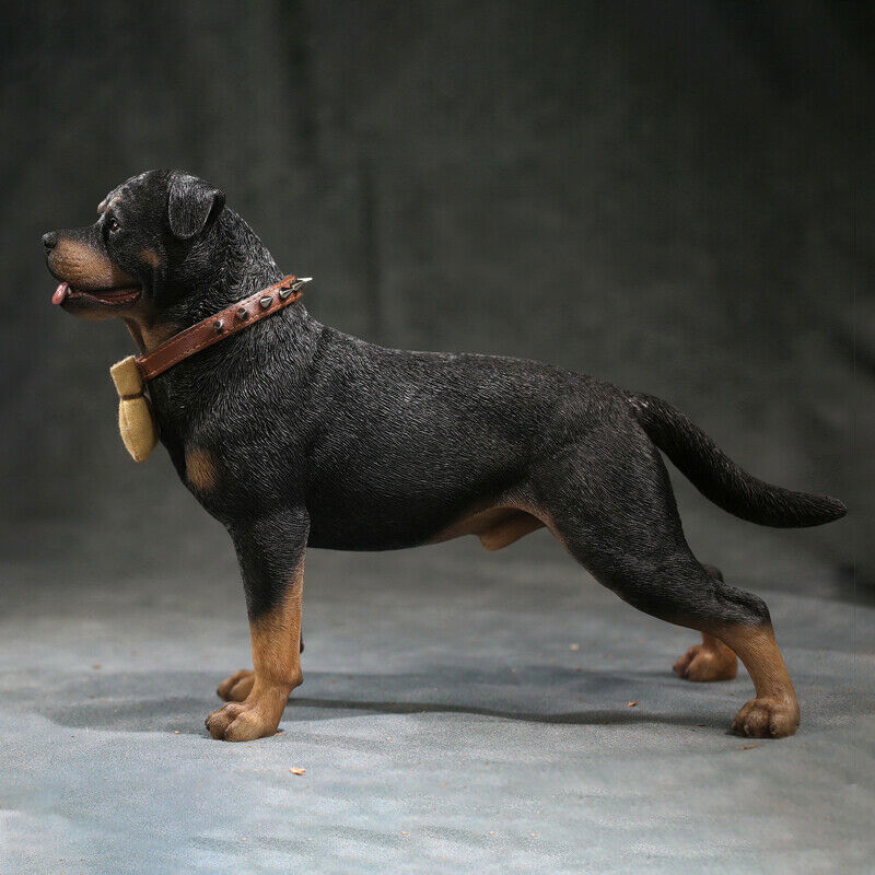 (未使用･未開封品)　CollectA Rottweiler Figure ar3p5n1 Amazon.com: CollectA Rottweiler Figure : Toys & Games