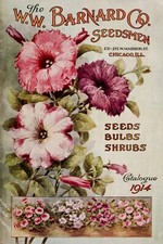 Gardening Catalogue Petunia Seed Advert, Vintage Retro Style Metal Sign
