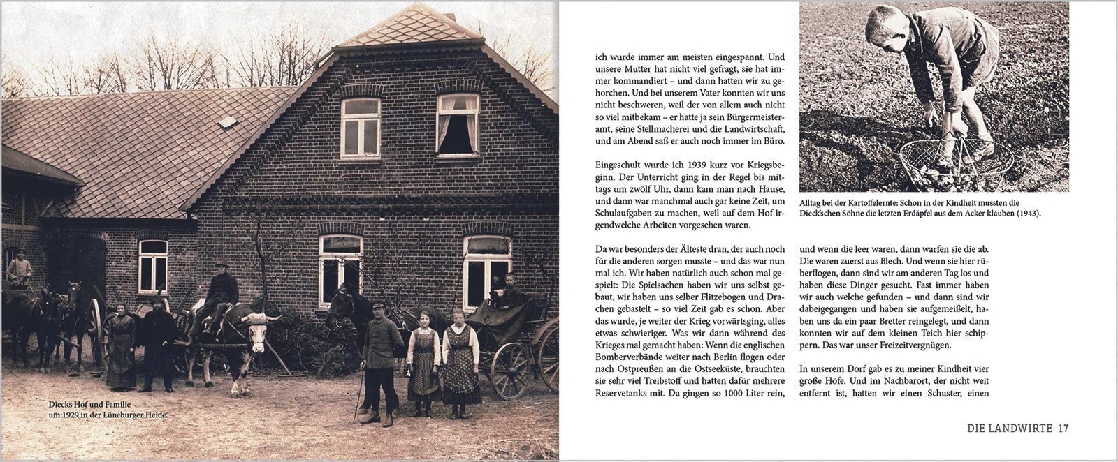 Thumbnail - Als Der Trecker Kam Und Das Pferd Verschwand | Marion Wilk (u. A.) |