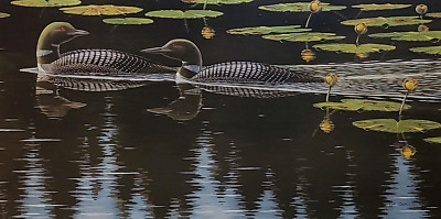 NEW Wilderness Memory Signed Limited Edition Print by Tim Schultz - Loons - Loon