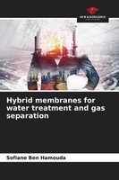 Sofiane Ben Hamouda | Hybrid Membranes For Water Treatment And Gas Separation