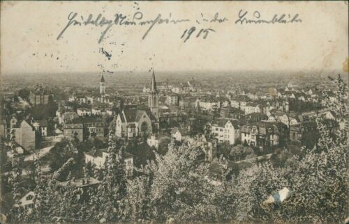 Ansichtskarte Heidelberg Neuenheim Baumblüte 1915   (Nr.9323)