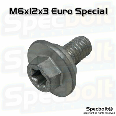 Pair of Special Screws fits KTM Husqvarna M6X12x3 Torx Matches