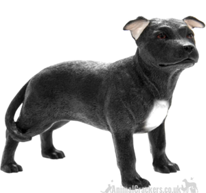 leonardo staffordshire bull terrier