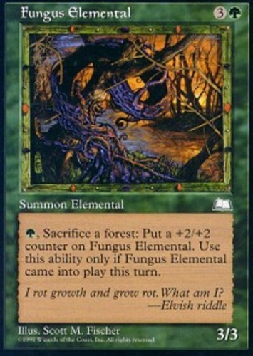 MTG magic cards 1x Fungus Elemental Weatherlight Light Play, English