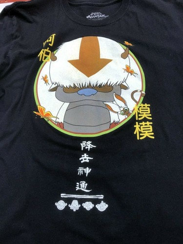 Camiseta Impresa Nickelodeon Avatar The Last Airbender para Hombre Talla XL - Imagen 5 de 9