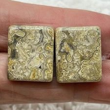 Vintage Fossil Coral Agate Cufflinks Bullet Back Silver Tone