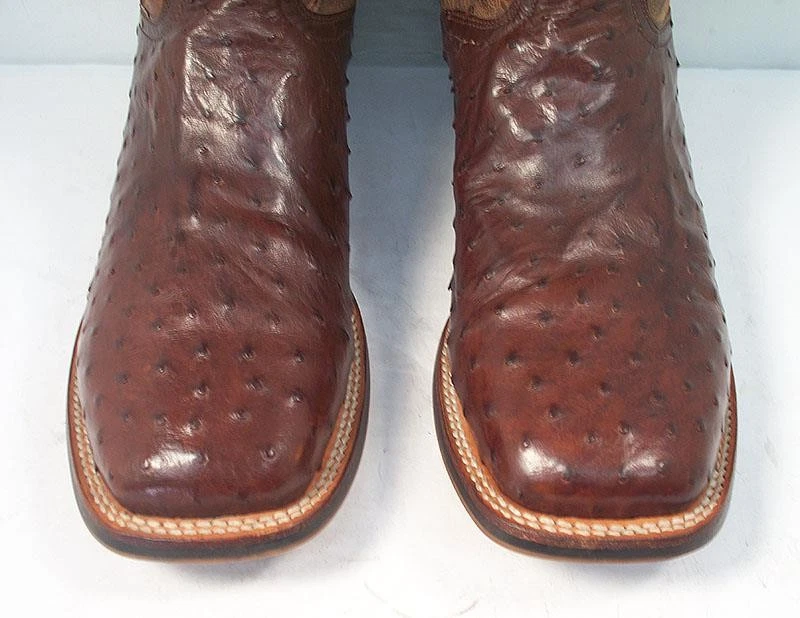 BOTAS VAQUERAS DAN POST HOMBRE 10 D MARRÓN ALAMOSA PLUMA COMPLETA AVESTRUZ Foto 2 de 4