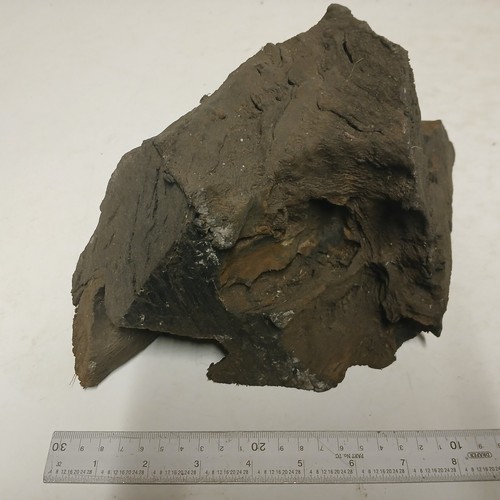 1 Stück irisches Mooreichenholz - Aquarium / Uhr - Größe relativ zum Maßstabsregel - Bild 2 von 6