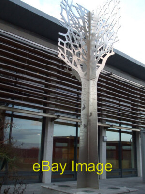 Foto 6x4 Erinnerungskarte ��\u0080\u0093 Baum Skulptur, Strule Arts Centre An c2009