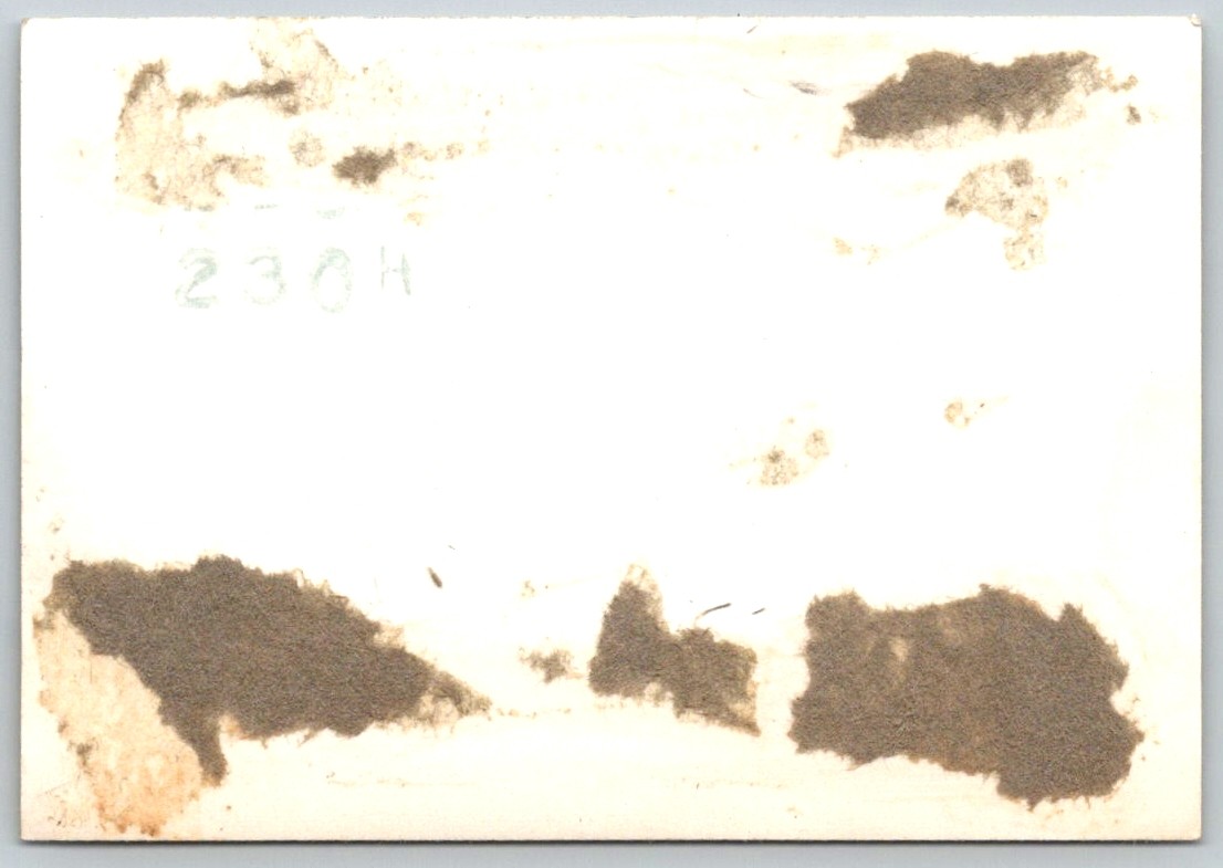 Picture 2