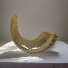 Antique Jewish ritual Shofar horn Rosh Hashanah Yom Kippur missing the mouth pc