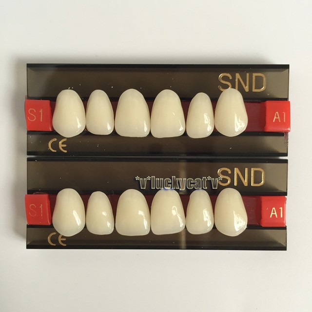 A1 Upper Anterior S1 Dental Acrylic Teeth Synthetic Resin False Denture for sale online eBay