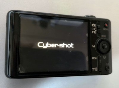 Sony Cyber-shot DSC-WX100 Black 18.2MP 10x Optical Zoom 1080p Wi