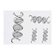 4 x 'DNA Strand' Temporary Tattoos / Transfers TO00004500 