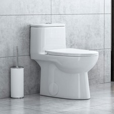 Compact One Piece Toilet with ADA Chair Height Elongated Dual Flush 1.1/1.6GPF
