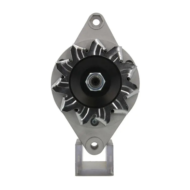 Alternatore 505.040.033.090 BV PSH