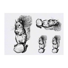 4 x 'Squirrel With Acorn' Temporary Tattoos / Transfers TO00007581 