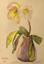 Adolf Hitler : Flower, Still Life : 1909 : Archival Quality Art Print