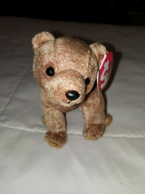 Ty Beanie Baby Pecan the Bear DOB April 15, 1999 MWMT