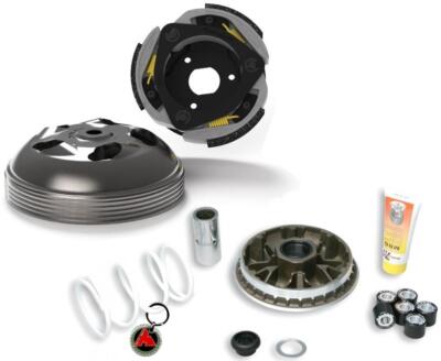 Malossi Kupplungssatz und Variomatik für Honda Forza 300 2018 2019 2020