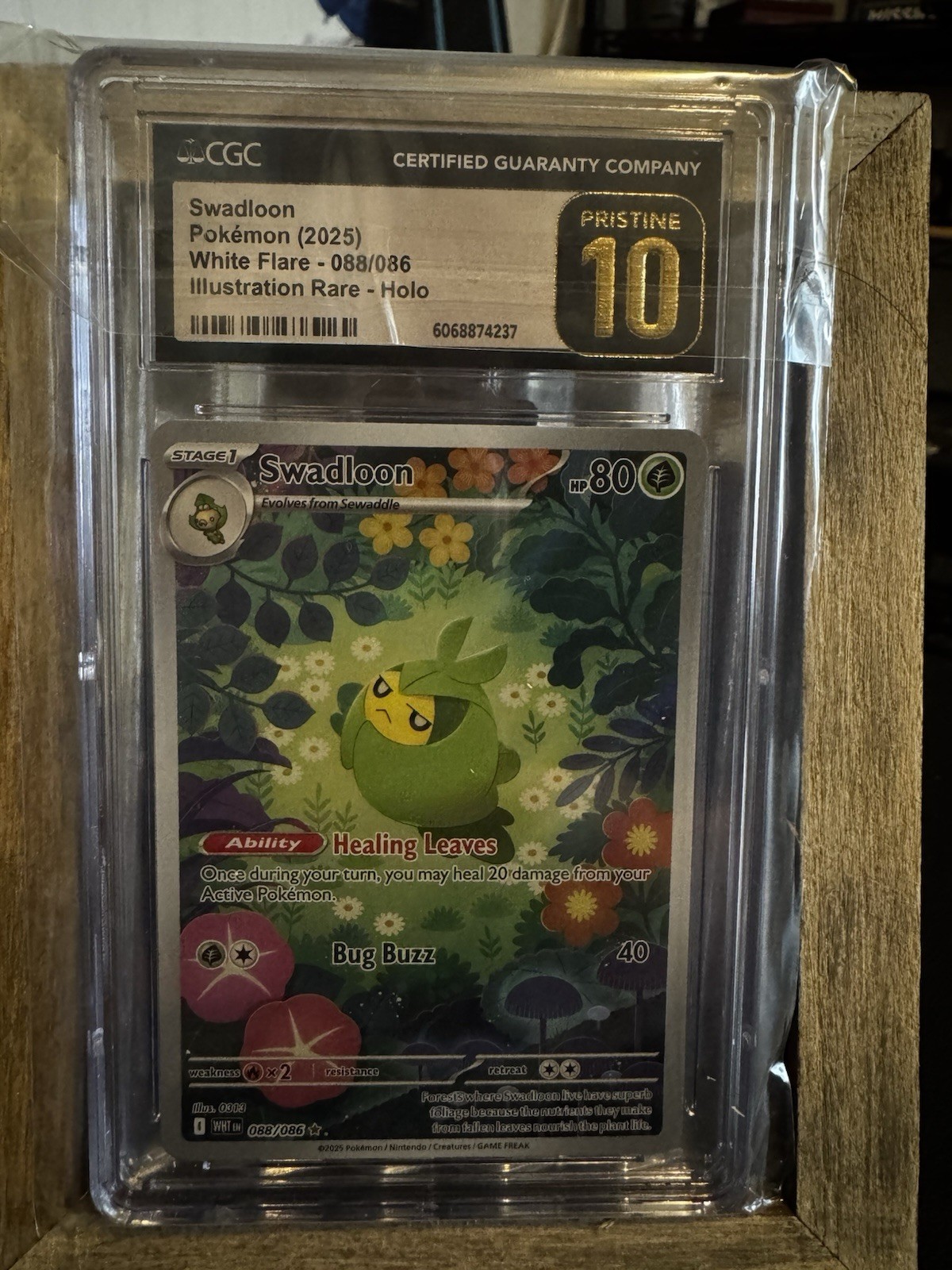 Pokémon TCG CGC Pristine 10 Swadloon 88/86 White Flare Illustration Rare