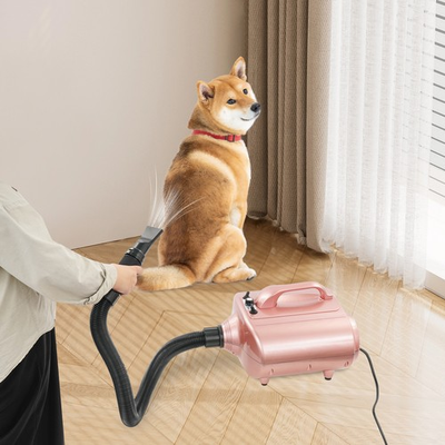 #ad #ad 3600W Silent Pet Hair Dryer w 2 Nozzles for Dog amp; Cat Portable Grooming Tool $192.68