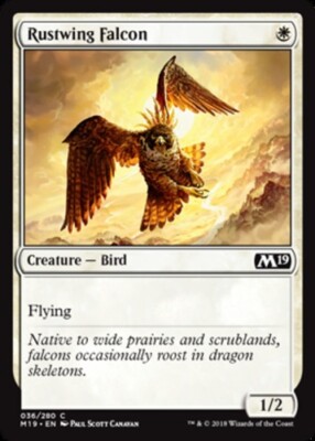 4x NM-Mint, English Foil Rustwing Falcon - Foil Core Set 2019 magicmtg