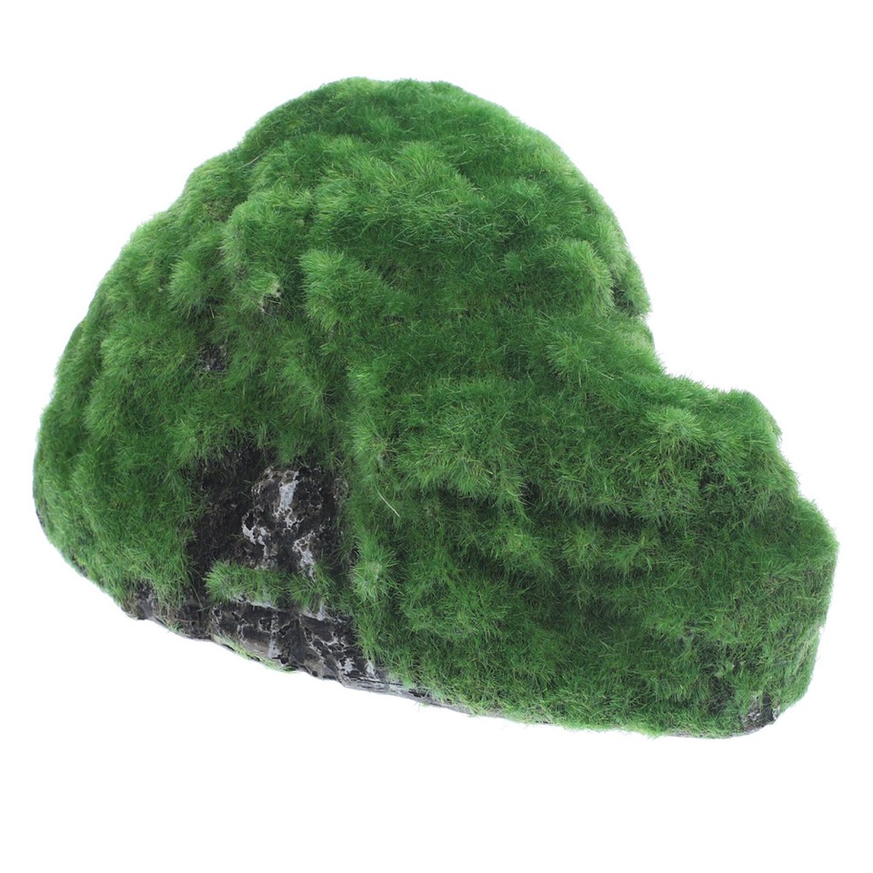 Snake Habitat Tortoise Hiding from House Small Reptile Hideout Lizard