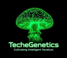 gourmet Mushroom liquid culture syringe 