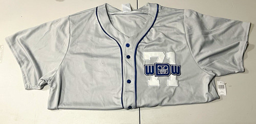 Walt Disney World Button-Front Baseball Jersey Shirt Gray/Blue/White XL