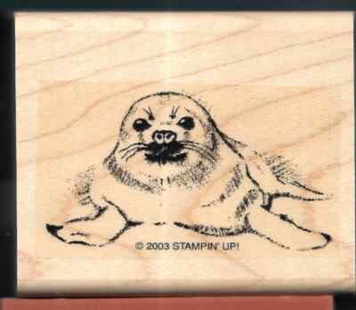 BABY HARP SEAL Sketch Wildlife NEW Stampin Up Cold Weather Friends RUBBER STAMP