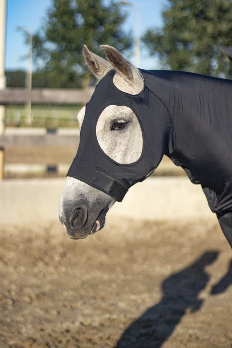 Capuche cheval et poney en lycra extensible avec fermeture éclair YKK