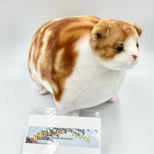 Fatty Zoo Cat Calico Stuffed Animals from Japan Kawaii 16 inches Scottish fold - Picture 3 of 15