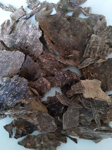 Agarwood chips Wild Natural Khao-Yai Prachinburi Thailand Premium Grade Rare - Picture 6 of 12