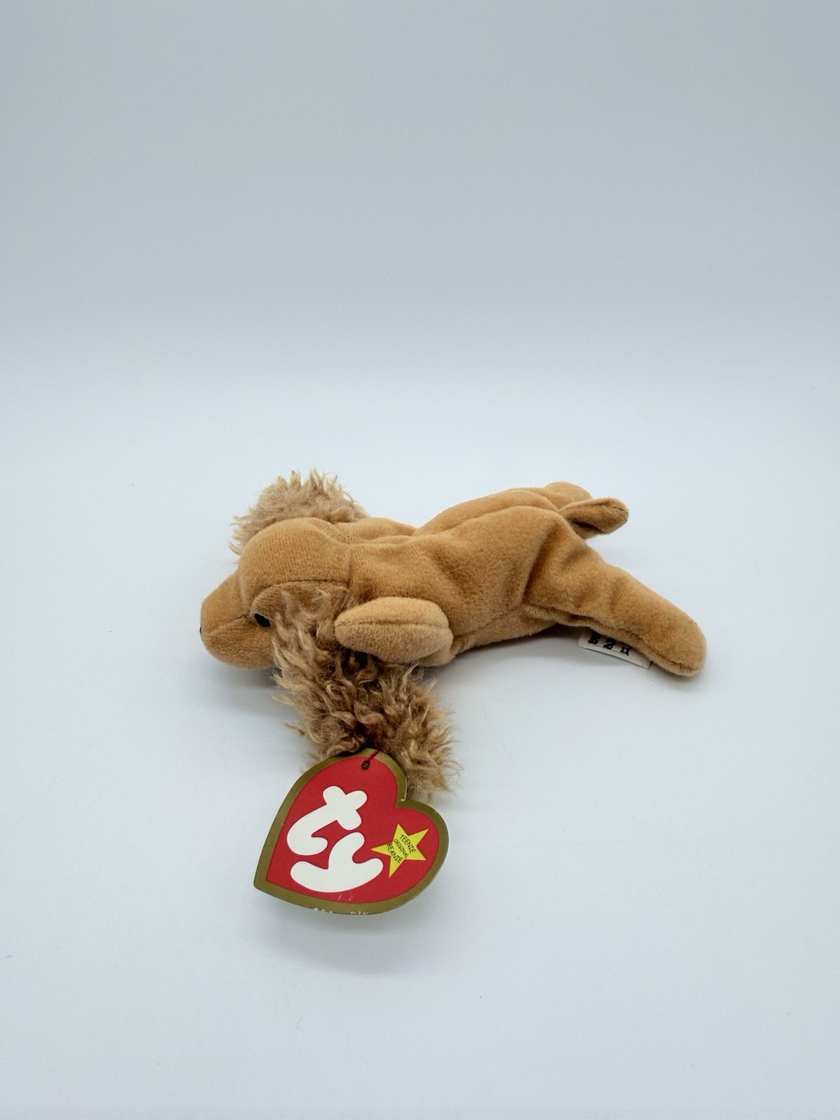 Foto 2 di 8