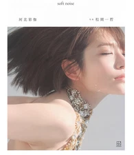 Saika Kawakita Photo Collection: soft noise Large Format Book　from japan