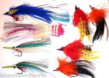 Flies - Near Shore II Fly Selection (8) + Waterproof Clear Lid Box - Saltwater