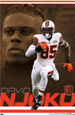 CLEVELAND BROWNS David Njoku Poster - 22x34 - 25607