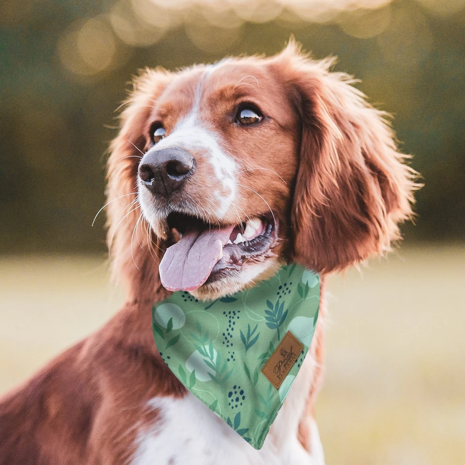 Lot 125 Luxury Grooming Dog Bandanas Washable Pet Scarf Free Shipping Wholesale - Image 3 of 4