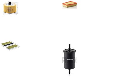 MANN-FILTER Inspektionspaket Filtersatz XL Feinstaubfilter (PM 2.5) Vorfilter