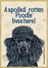 A spoiled rotten Poodle BLK lives here Wood Fridge Locker Magnet 2.5X3.5 NEW