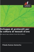 Fikadu Kumsa Gemechu | Sviluppo Di Protocolli Per La Coltura Di Tessuti D'uva